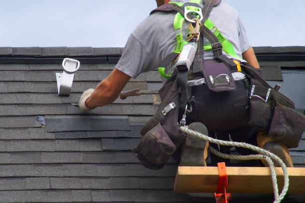 Best Roof Gutter Cleaning  in Greenup, KY