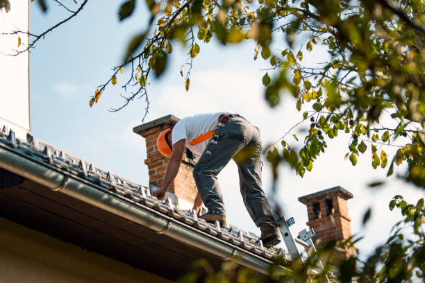 Best Metal Roofing Contractor  in Greenup, KY