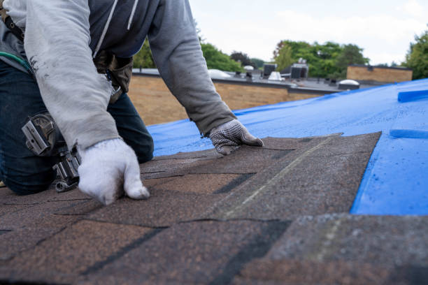 Best Emergency Roof Repair  in Greenup, KY